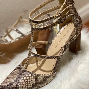 synthetic snakeskin women's shoe